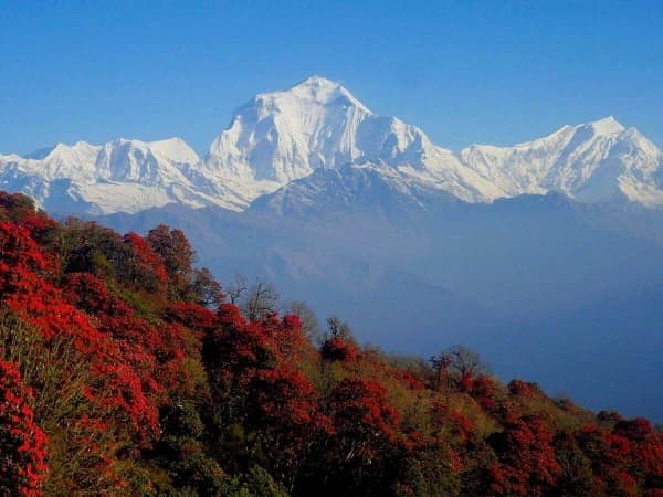 Annapurna Dhaulagiri Trek