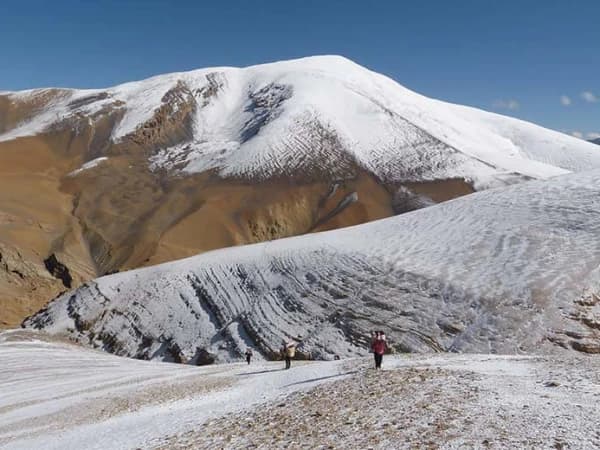 Saribung Climbing Mustang