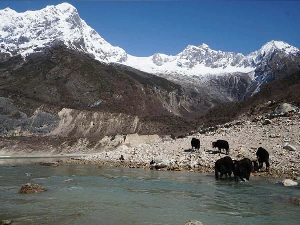 Trek Manaslu